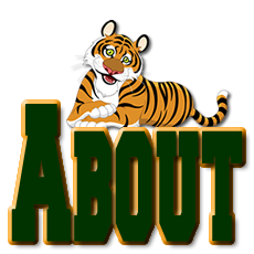 About logo 